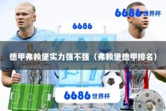 德甲弗赖堡实力强不强（弗赖堡德甲排名）