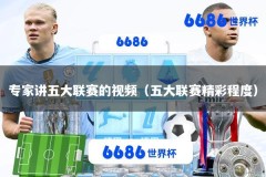 专家讲五大联赛的视频（五大联赛精彩程度）