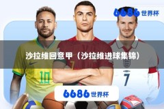 沙拉维回意甲（沙拉维进球集锦）