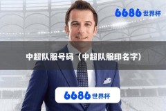 中超队服号码（中超队服印名字）