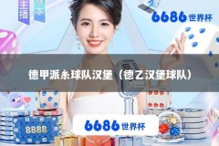 德甲派糸球队汉堡（德乙汉堡球队）