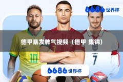 德甲暴发脾气视频（德甲 集锦）