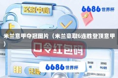 米兰意甲夺冠图片（米兰豪取6连胜登顶意甲）