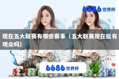 现在五大联赛有哪些赛事（五大联赛现在能有观众吗）