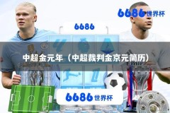 中超金元年（中超裁判金京元简历）