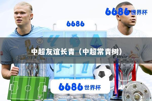 中超友谊长青(中超常青树)