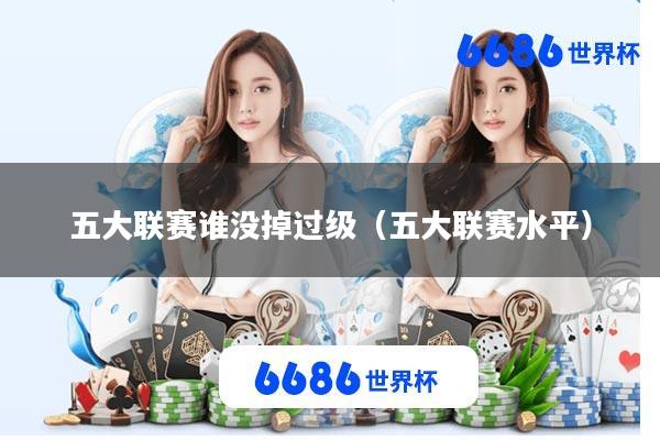 五大联赛谁没掉过级(五大联赛水平)